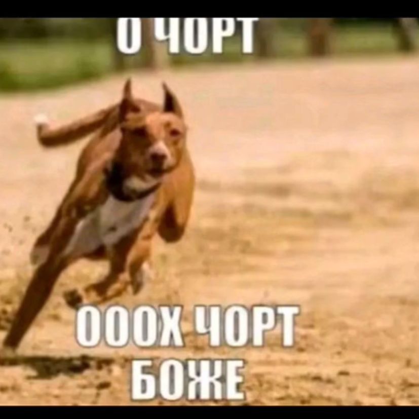 yTeHoK