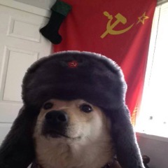 ra1y