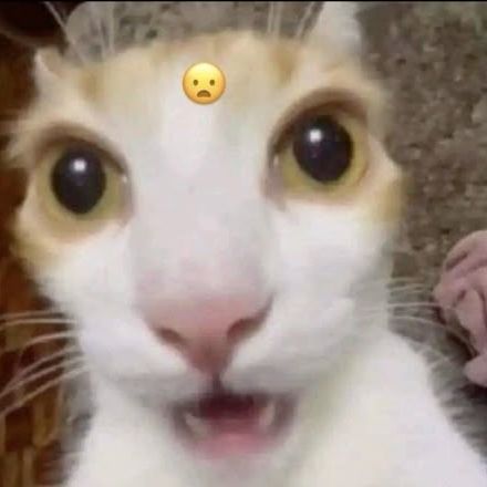 zeyuu