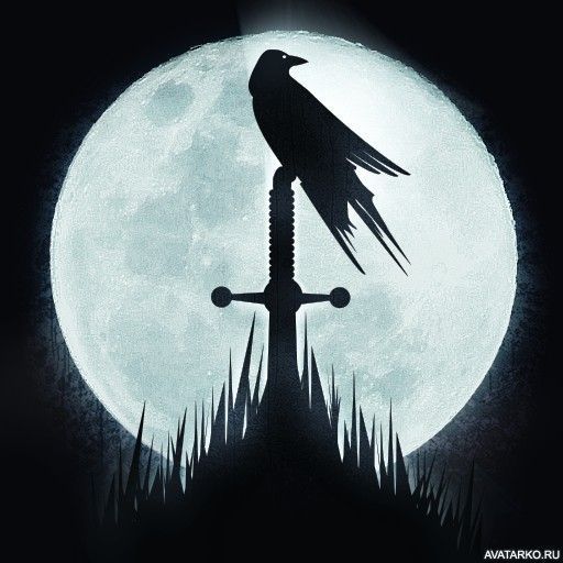 TEAM_RAVEN