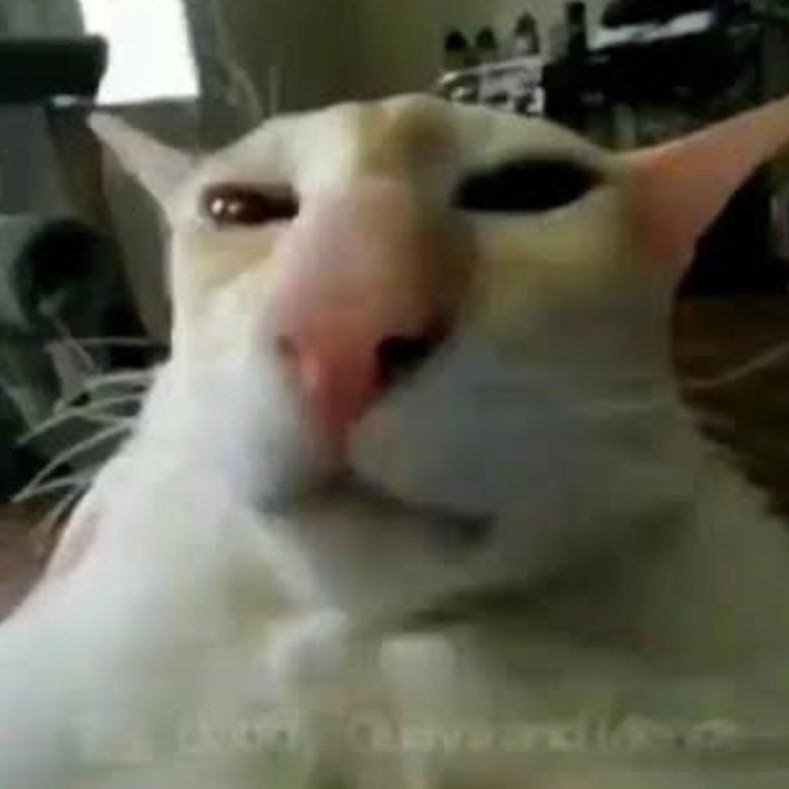 D3W1L