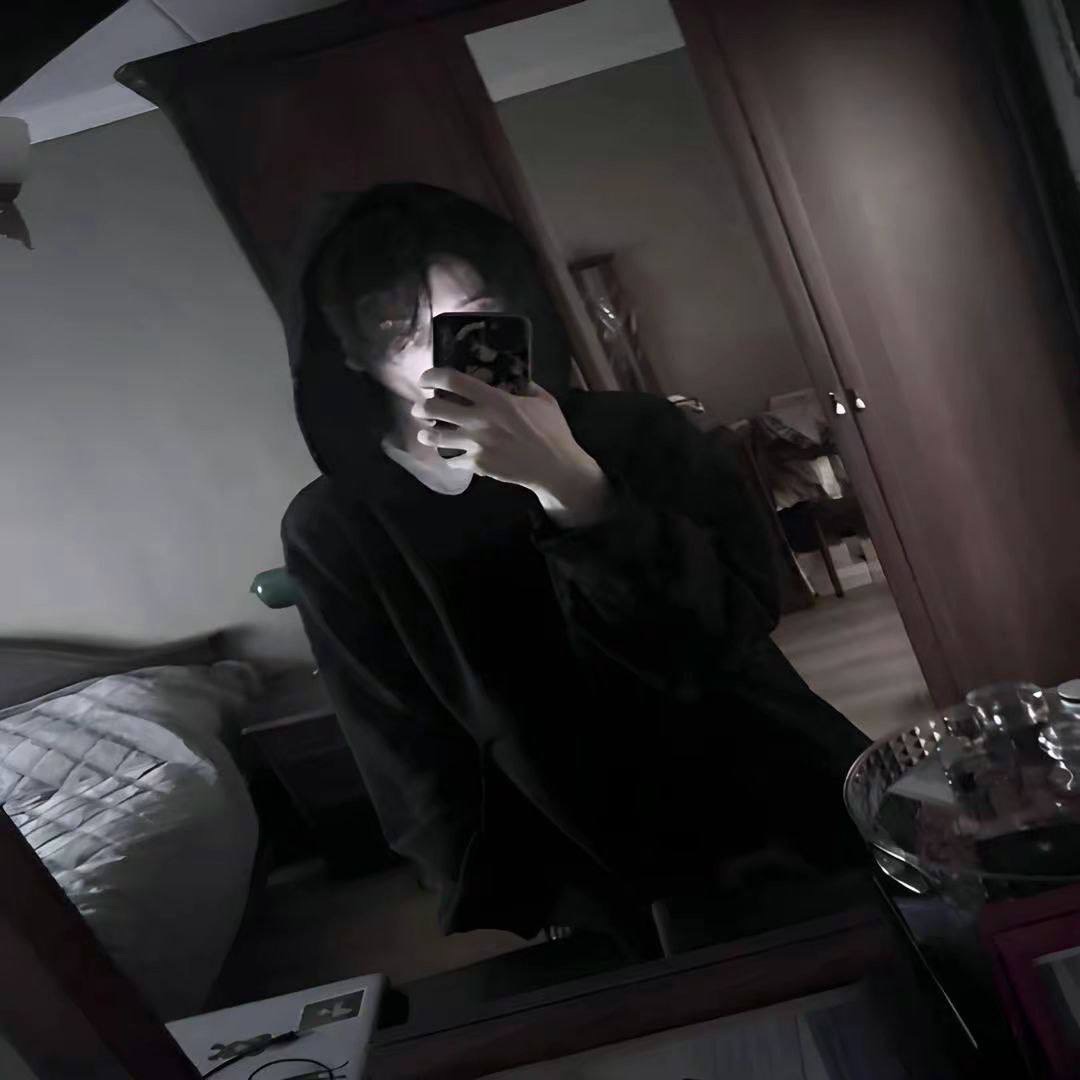 111socialfan