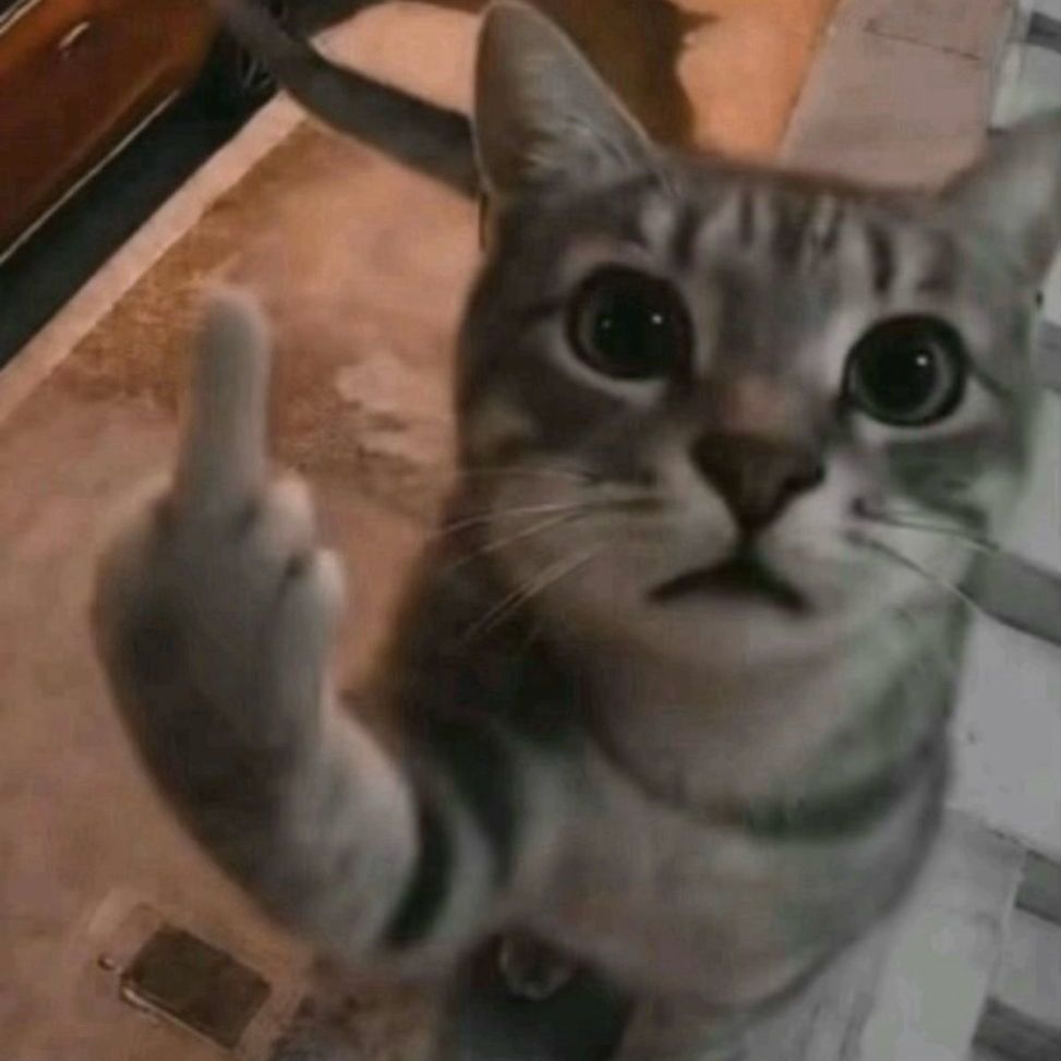 Enikacee