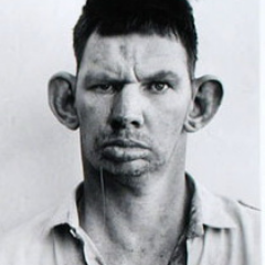 fozil-
