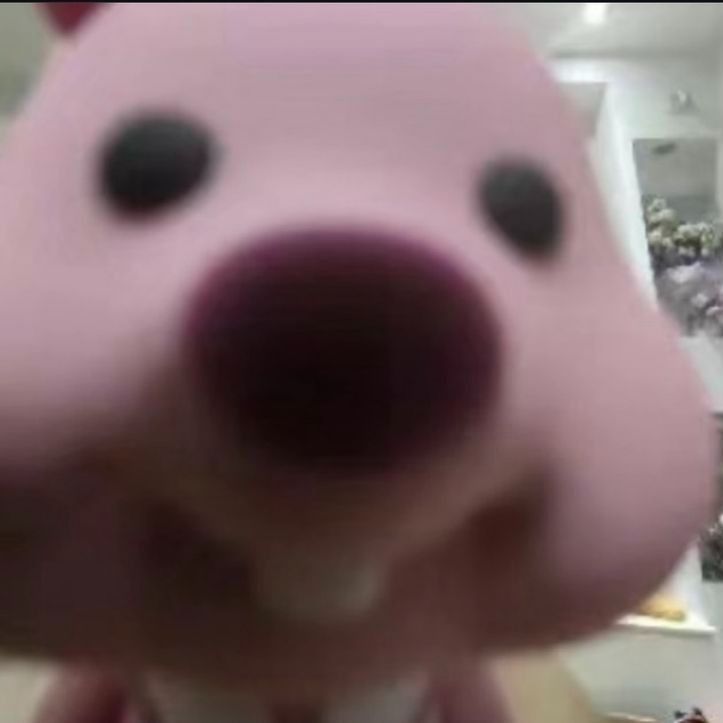 dleik