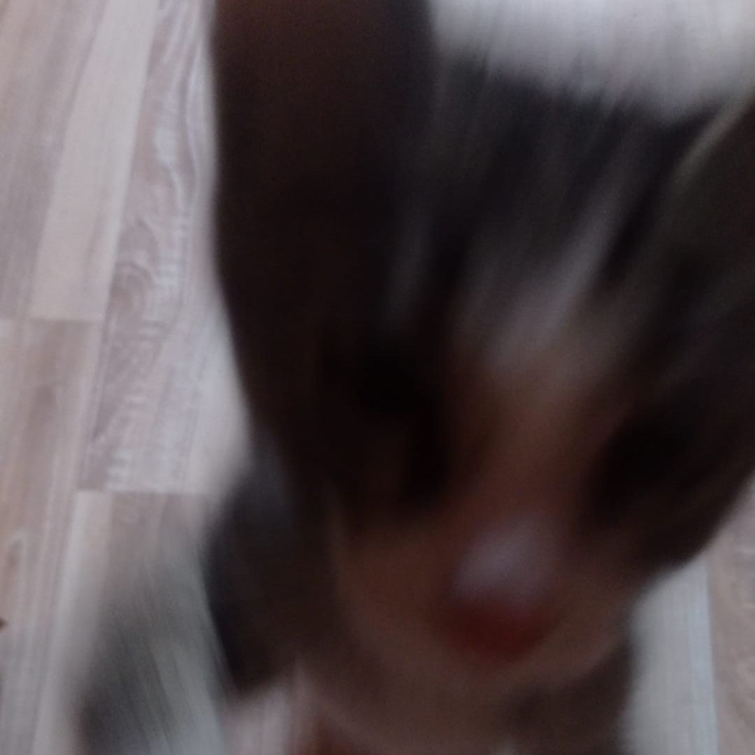 zzDrop