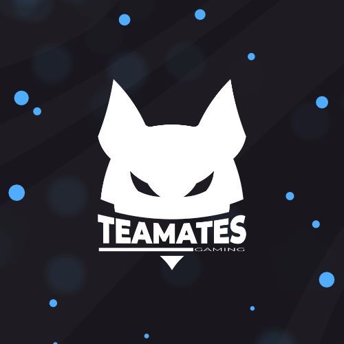 Teamates Gaming