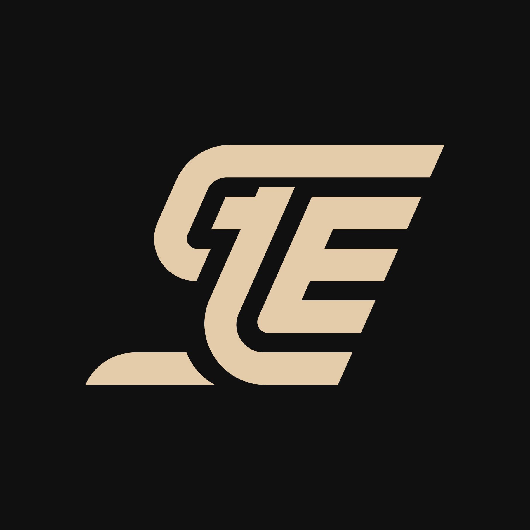 STE_J