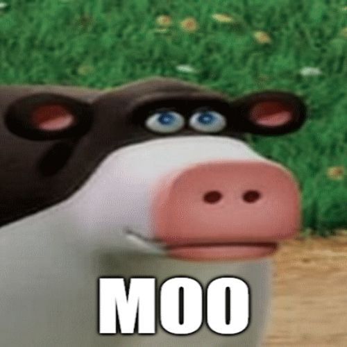 Fronk