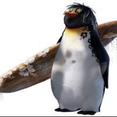CAPIVARAS
