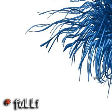 fuLLi