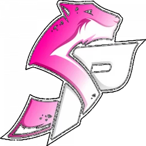 Snowpards Future Logo