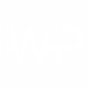 Wanna-Play Logo