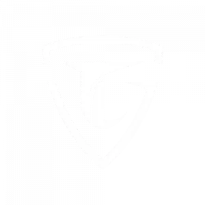 Team LEISURE Logo