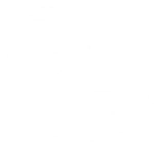 ROA Weitwurf Logo