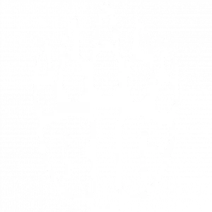 Berlin International Gaming Logo
