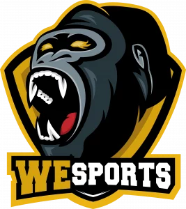 WeSports Logo