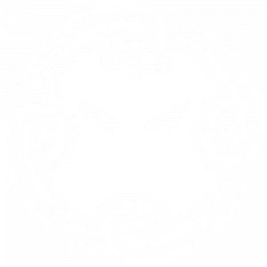 Team Nordic Logo