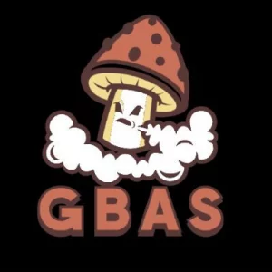 GBAS Logo