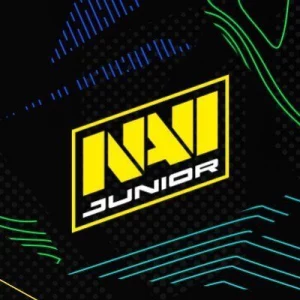 NAVI Junior Logo