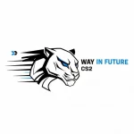 Way In Future