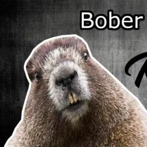 RaspBerryBobery Logo