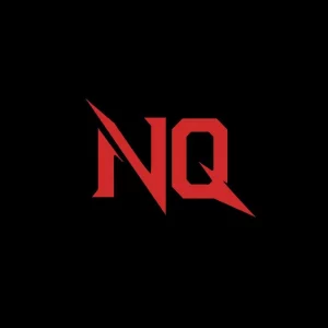 nQ Team Logo