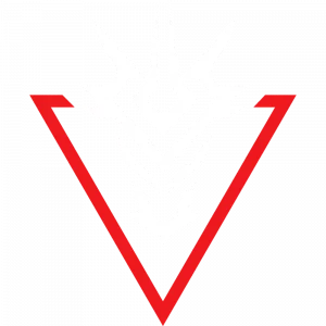 SNOGARD Dragons Logo