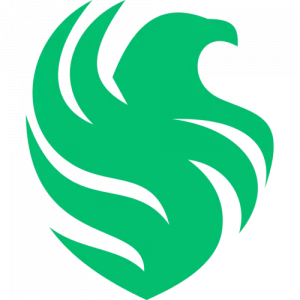 Team Falcons Logo